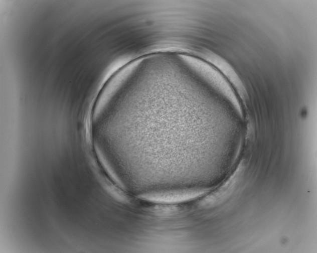 X0000102401242200808151936