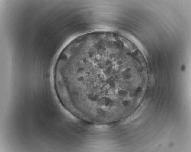 X0000102401243200808151936