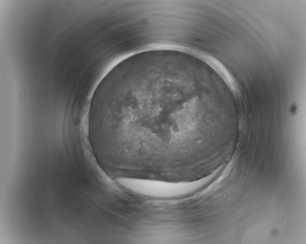 X0000102401244200808151936