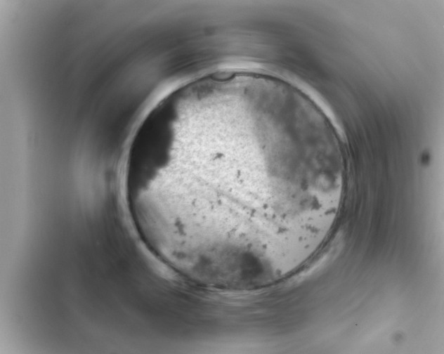 X0000102401245200808151936