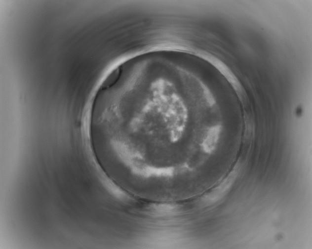 X0000102401246200808151936