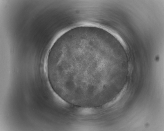 X0000102401247200808151936