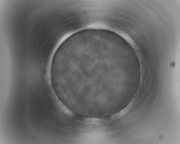 X0000102401248200808151936