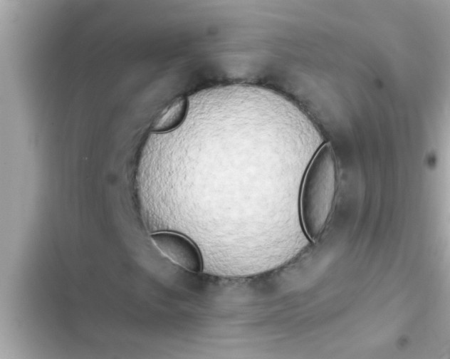 X0000102401249200808151935