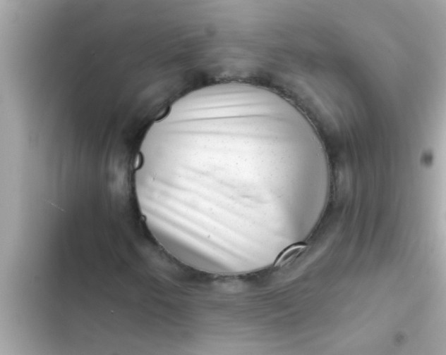 X0000102401250200808151935