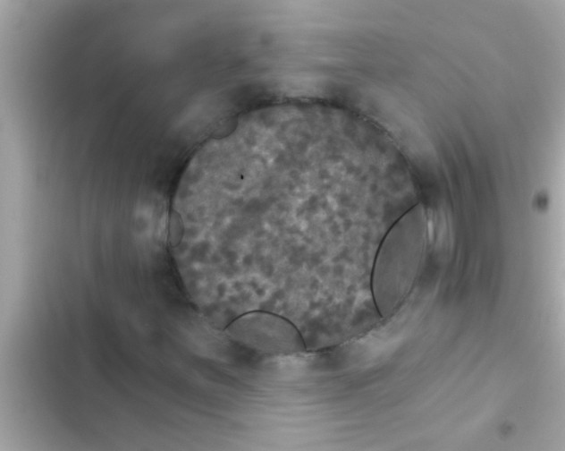 X0000102401251200808151935