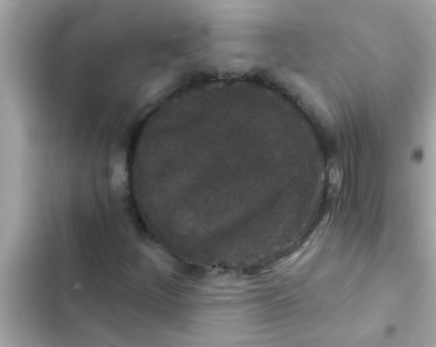 X0000102401252200808151935