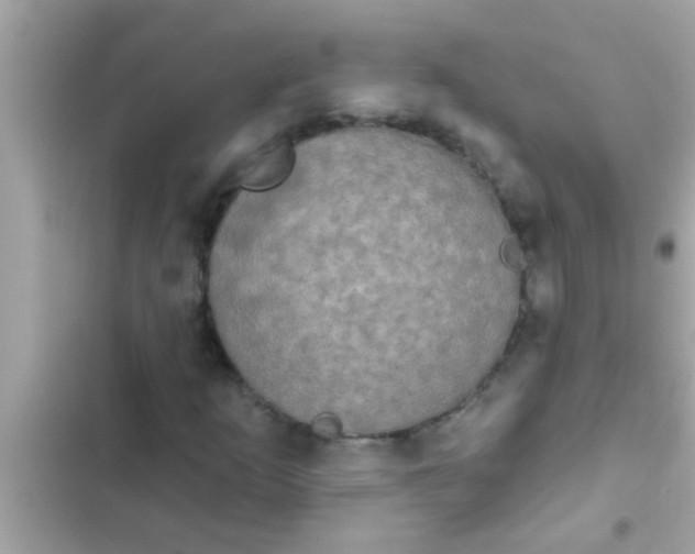 X0000102401253200808151935