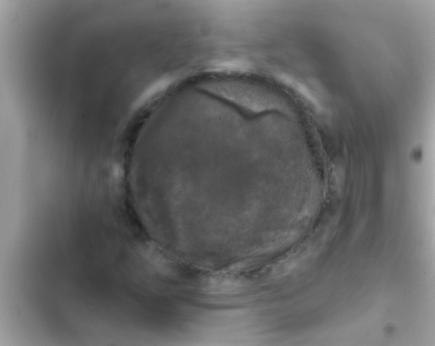 X0000102401254200808151935