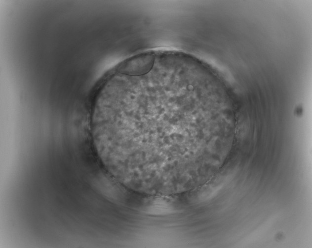 X0000102401255200808151935