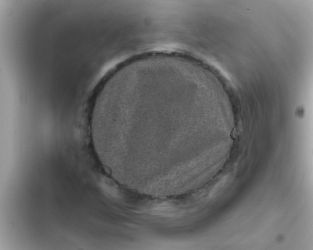 X0000102401256200808151935