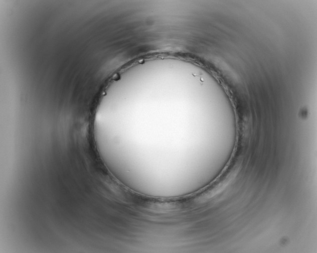 X0000102401257200808151935