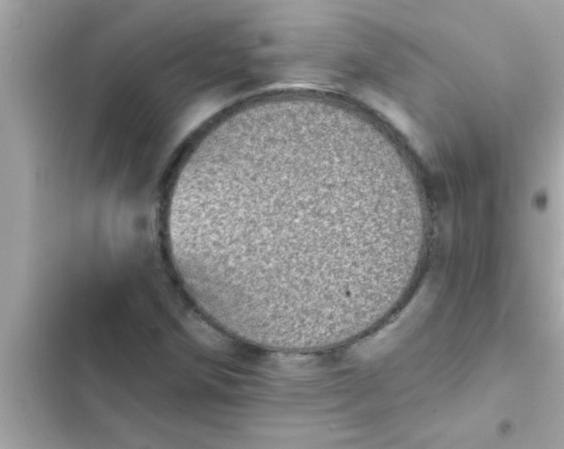 X0000102401258200808151935