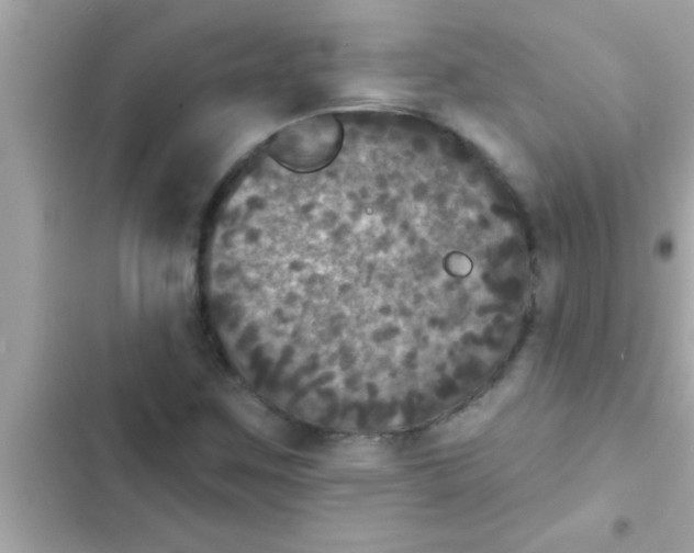 X0000102401259200808151935