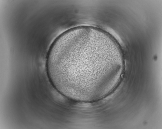 X0000102401260200808151935