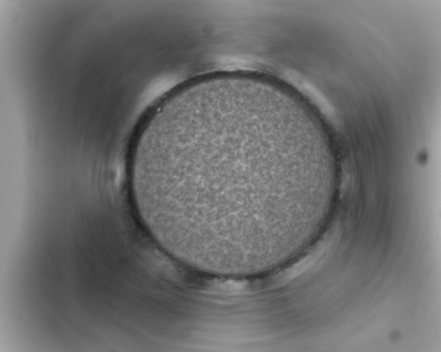 X0000102401261200808151935