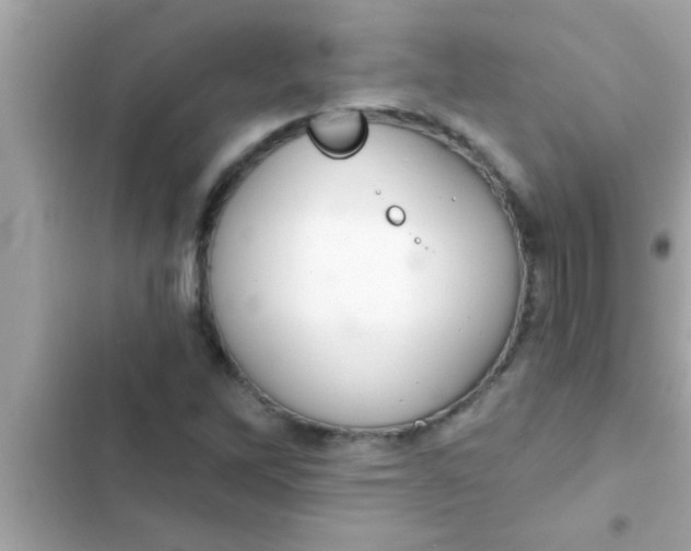 X0000102401262200808151935