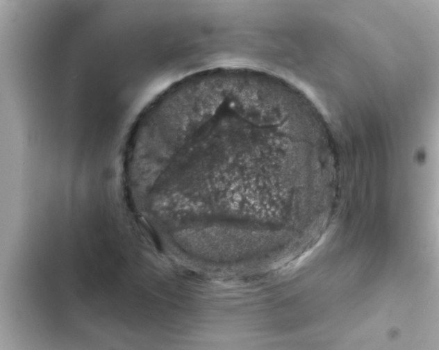 X0000102401263200808151935