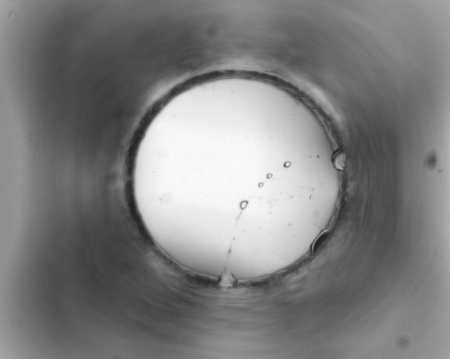 X0000102401264200808151935