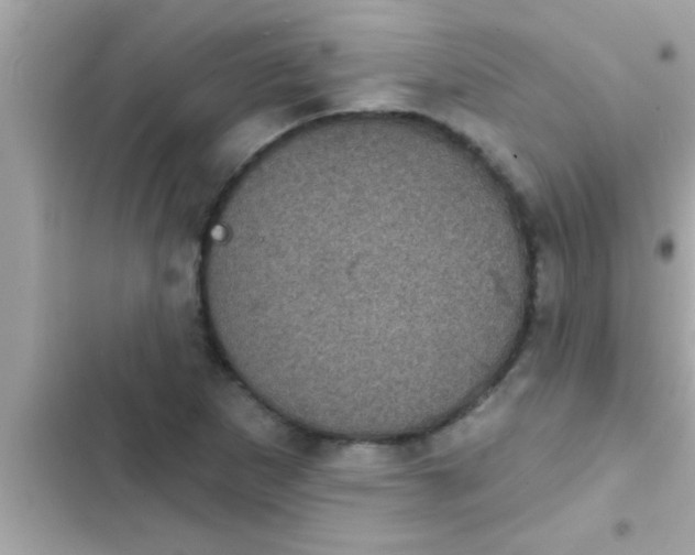 X0000102401265200808151935