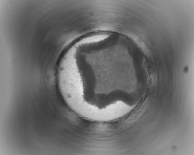 X0000102401266200808151935