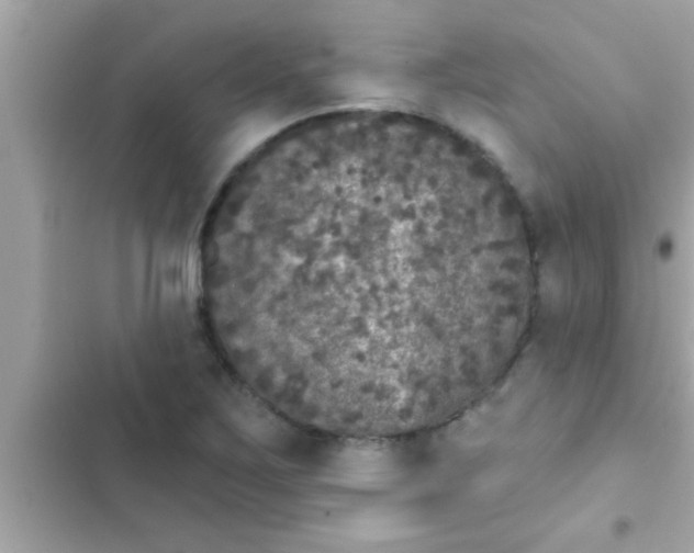 X0000102401267200808151935