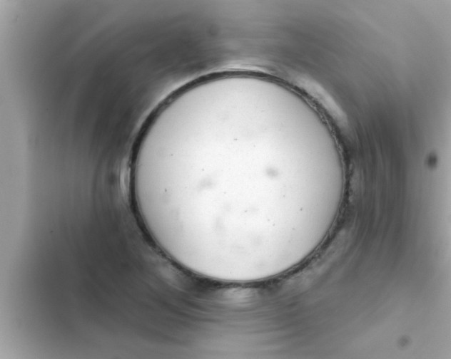 X0000102401268200808151935