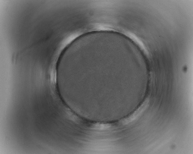 X0000102401269200808151935