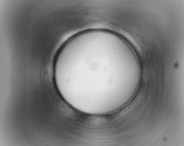 X0000102401270200808151935