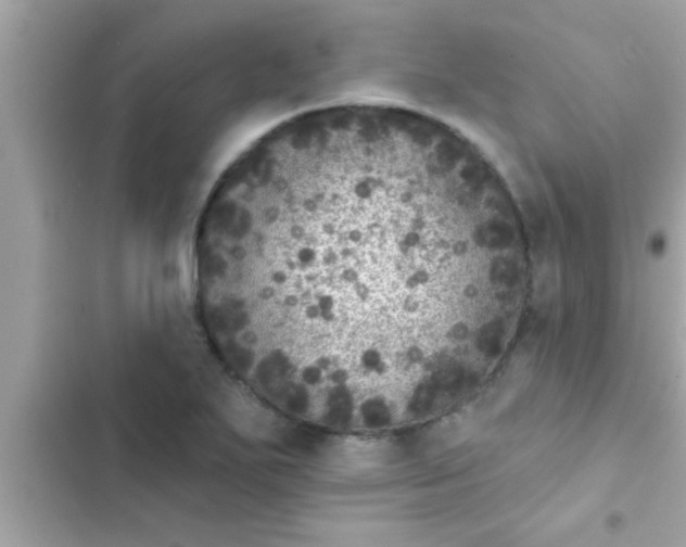 X0000102401271200808151935