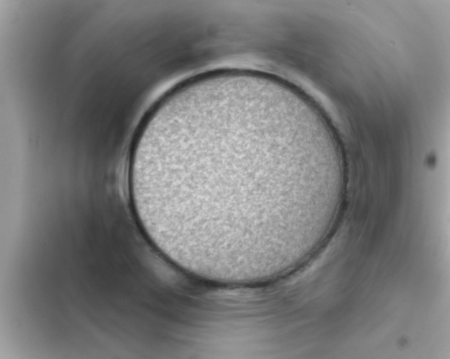 X0000102401272200808151935