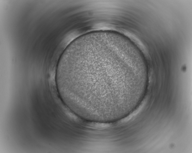 X0000102401273200808151935