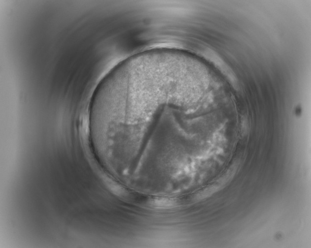 X0000102401274200808151935