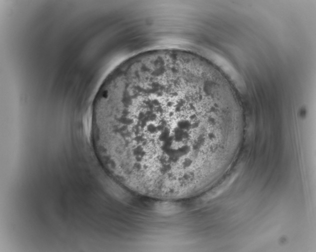 X0000102401275200808151935