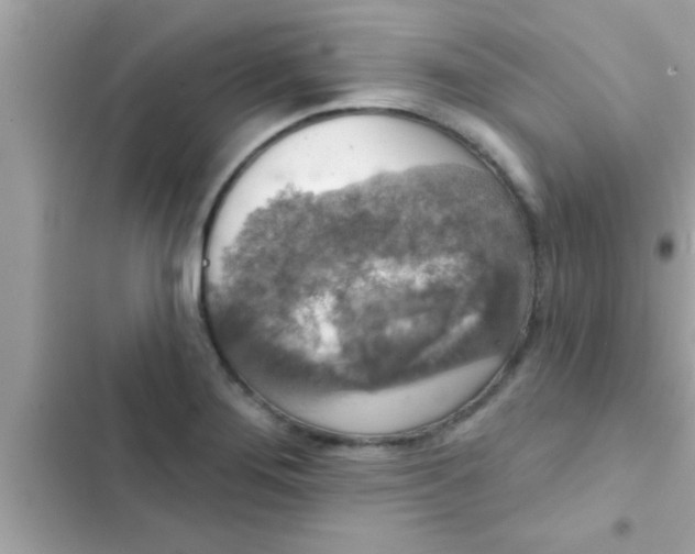 X0000102401276200808151935