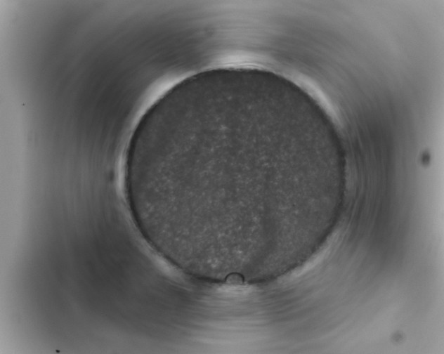 X0000102401277200808151935