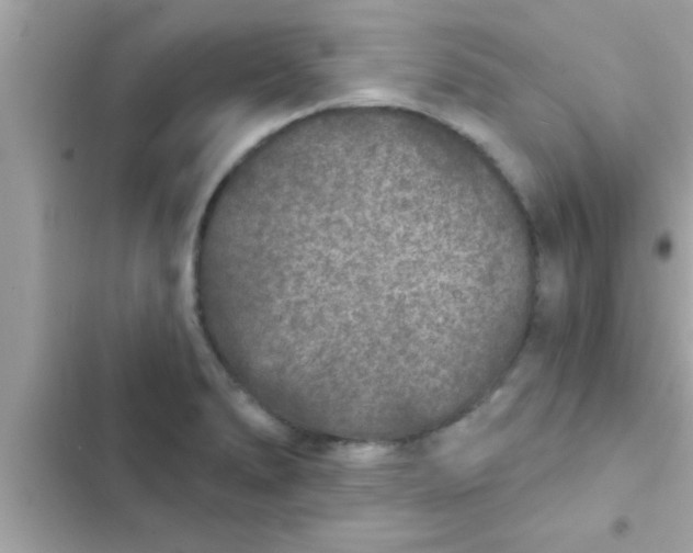 X0000102401278200808151935