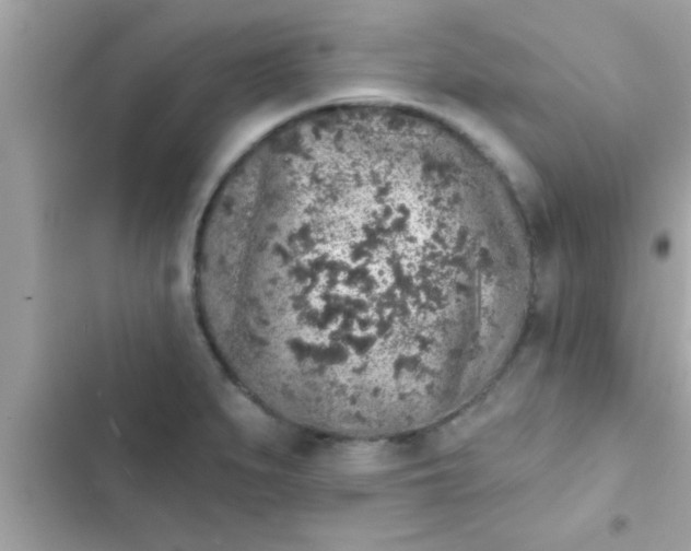 X0000102401279200808151935