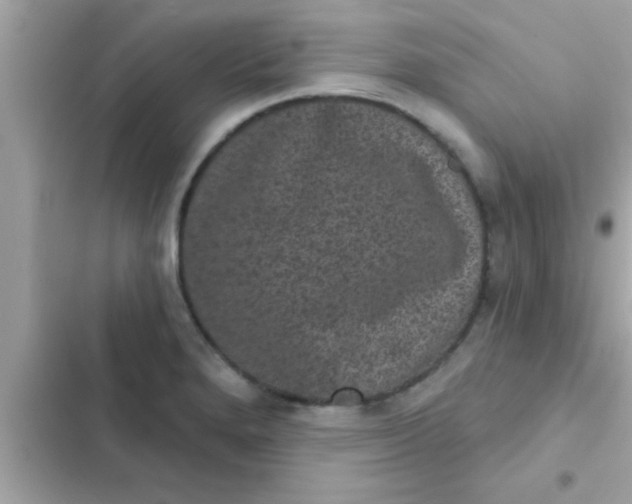 X0000102401280200808151935