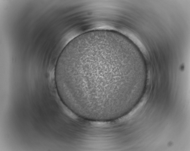 X0000102401281200808151935