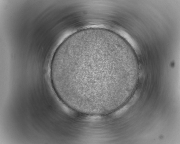 X0000102401282200808151935