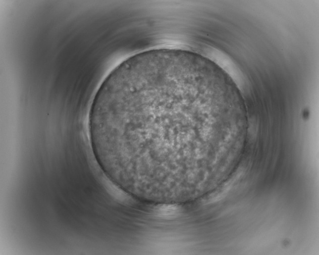 X0000102401283200808151935