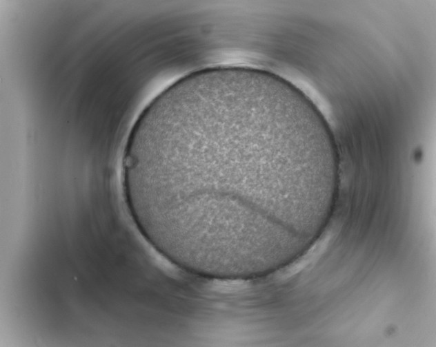 X0000102401285200808151935