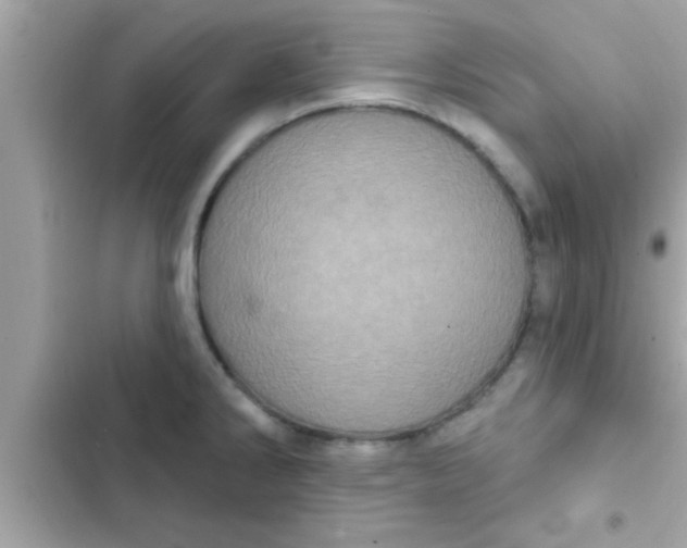 X0000102401286200808151935