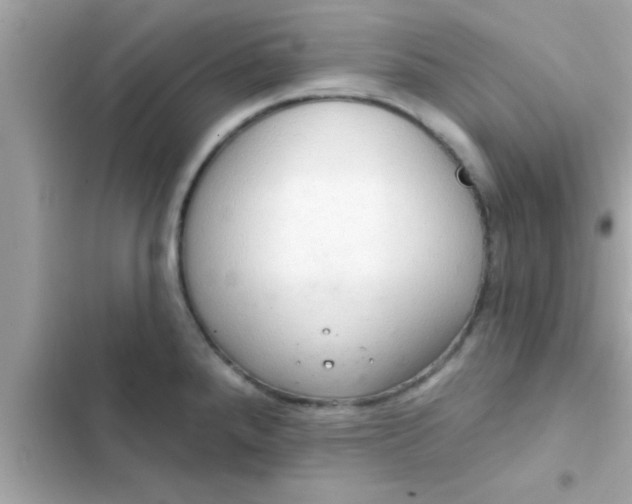 X0000102401288200808151935