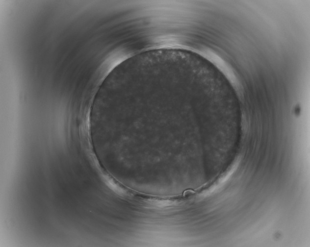 X0000102401289200808151935