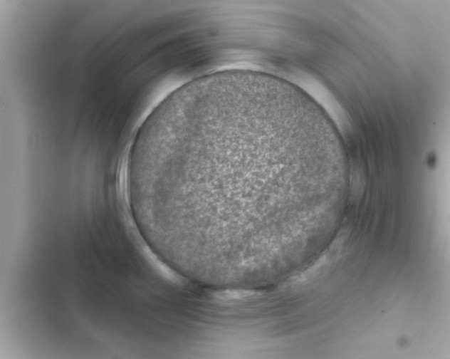 X0000102401290200808151935