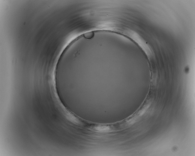 X0000102401291200808151935