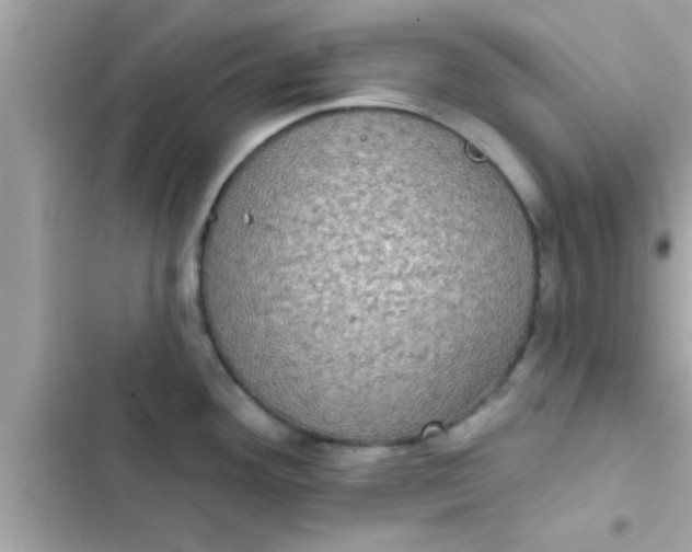 X0000102401292200808151935