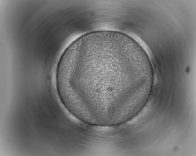 X0000102401293200808151935